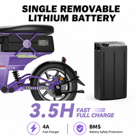Vélo Électrique Pliant Tout-Terrain Adulte 14 Pouces Haute Vitesse 500W 48V 58Ah Autonomie 140km – Vente en Gros Usine OEM ODM