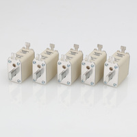 Fusible de Cuchilla Industrial de Alta Calidad NH00 Tamaño 00 HRC 80A 100A 160A 500V 690V con Alta Capacidad de Ruptura, Estándar IEC 60269