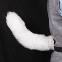 Accessoires de cosplay renard : Queue sexy DIY 40 cm en vraie fourrure, unisexe pour adultes, à porter à la taille, pour jeu de rôle, fabrication usine