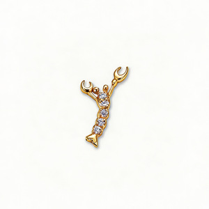 Pendentif carré en verre transparent, boîte creuse, best-seller, pour collier DIY, avec zirconium, motif animal en forme de cœur du <span class=keywords><strong>12</strong></span>ème mois - Product Image 6