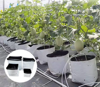 Kantong Tanam Putih dan Hitam 20L 5Gal untuk Melon, Jahe, dan Sayuran, untuk Penggunaan di Kebun dan Rumah Kaca