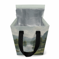 Sac de livraison isotherme OEM en tissu non tissé PP, sac de transport pour plats à emporter, poignée en sangle noire, impression personnalisée
