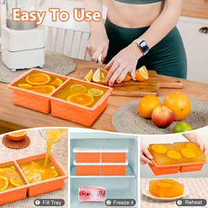 Custom Container Food <b>Storage</b> 2 Cup Ice Cream Maker Tray Freezer Ice Cube Silicone Food Freezer Tray Mold with Lid - Product Image 5