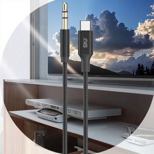 Câble Audio Offre Spéciale Type C mâle à 3.5mm Aux Audio stéréo 3.5mm mâle adaptateur Audio câble RCA pour haut-parleur ordinateur portable - Product Image 2