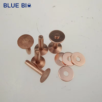Remache de Cabeza Plana, Accesorio para Prótesis Médicas, Fijador para la Estructura de Prótesis Ortopédicas