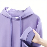 Fabricant de vêtements en gros – Sweats à capuche vierges personnalisés en molleton Sliver Fox épais 600 g/m² pour femmes et hommes