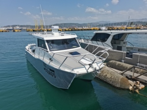 Sea King - Catamarán de Aluminio de Doble Casco de 8.8 <span class=keywords><strong>m</strong></span>, Catamarán de Pesca de Lujo - Product Image 3