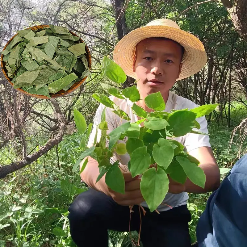Wild Growth Bulk Dried Epimedium Leaves Men Kidney Herb For Extract Capsule Powder Chinese Horny Goat Weed Herb Yin Yang Huo