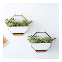 Nordische achteckige Ins Wand montage Eisen Keramik Sukkulenten Blumentopf Pflanzer Set Großhandel