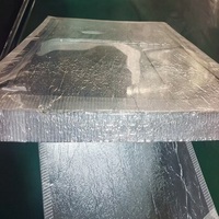 Paneles VIP con Aislamiento al Vacío de Sílice Ahumada para Cadena de Frío de Vacunas, Aislamiento Resistente al Calor