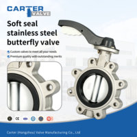 Válvula de Mariposa de Acero Inoxidable SS316 con Sello Suave, Brida RF, Manual/Eléctrica, Exd IP65, Sellado Central EPDM, para Químicos y Agua, PN16