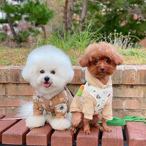 Veste pour chien en polyester moderne, mignonne, à motif floral, luxueuse, confortable et chaude, vêtements d'hiver et de printemps en gros - Product Image 6