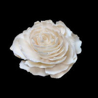 Livraison directe |   Diffuseurs de parfum en roseaux de papier Tongcao de 5/6 cm, fleurs en bois Sola, plusieurs styles disponibles, couleur personnalisable, décorations teintables