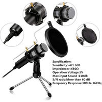 Microphone à condensateur USB professionnel Biner E300 pour ordinateur de bureau, pour l'enregistrement, la diffusion en direct, le jeu