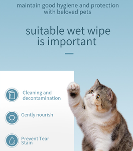 Toallitas Húmedas para Mascotas <span class=keywords><strong>de</strong></span> Marca Privada, Hipoalergénicas, para Perros y Gatos, para Limpiar Patas, Trasero y Cuerpo - Product Image 6