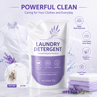 Liquide de lavage domestique personnalisé OEM écologique, antibactérien, formule douce et sûre, dissolution efficace de la saleté pour le lavage des vêtements