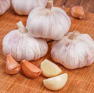 Qingchun Chinese Low Price Fresh Garlic