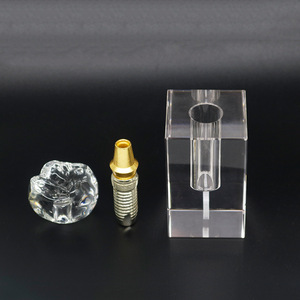 Dental Implant <b>Model</b> 2x Detachable Teaching Anatomical <b>Medical</b> Silicone For Dental Education - Product Image 2