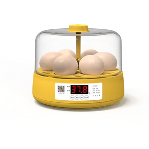 Mini bilim yumurta kuluçka makinesi tam otomatik akıllı tavuk yumurta kuluçka makinesi
