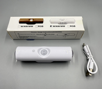 Lampe murale à double tête effet œil de chat, lumière d'ambiance, veilleuse rechargeable, lumière intelligente à détecteur de présence humaine pour chambre et armoire