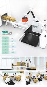 Robot de palettisation collaboratif pour cartons, facile à utiliser, avec moteur de boîte de vitesses, PLC et construction en acier inoxydable, pour le commerce de détail - Product Image 5