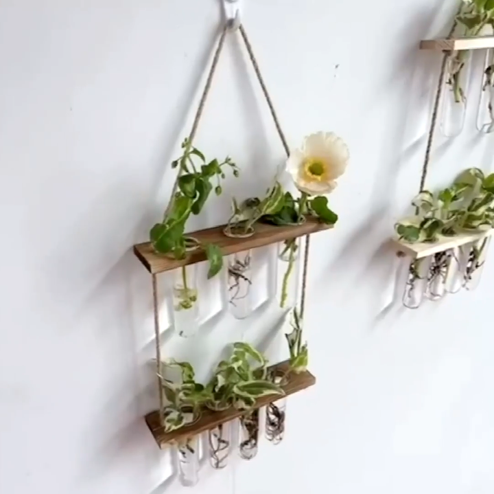 Propagation Planters Glass Test Tube Flower Vase Plant Propagate