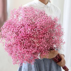 O-X296 رخيصة أسعار الجملة الصف المجففة زهرة Babysbreath السائبة الأبيض الوردي الطبيعي المجففة المحفوظة <span class=keywords><strong>Gypsophila</strong></span> زهرة - Product Image 4