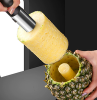 Mixwares Draadloze RVS Ananas Snijder Fruit Kernverwijderaar Mes Cutter voor Fruit Rasp Type Gereedschap