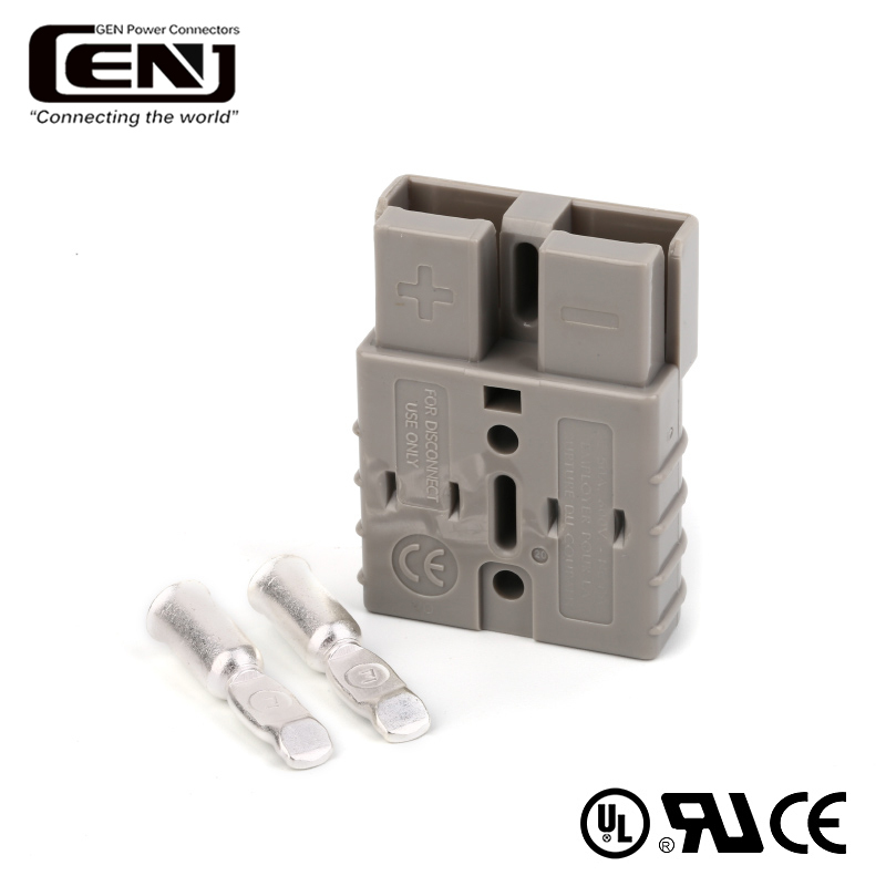 1 to 2 Ways Ethernet Network