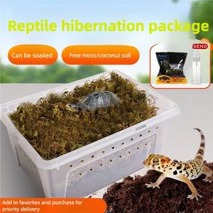 <span class=keywords><strong>Terrarium</strong></span> et boîte d'hibernation <span class=keywords><strong>pour</strong></span> reptiles en plastique-Cage ventilée <span class=keywords><strong>pour</strong></span> tortues, araignées, grenouilles à cornes et geckos - Product Image 2