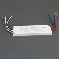 Alimentation LED ultra-mince 13 mm CE C.V DC12V/24V 12W 15W 18W 20W 24W 30W 36W 48W 60W 100W en plastique IP44 pour éclairage de miroir