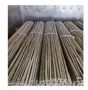 Natuur Tuin Bamboe Stok Voor Hek Gerold Bamboe Hout Hek