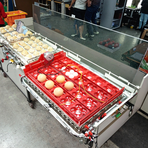 56pcs PP khay trứng với tự động quay 1 năm bảo hành 47x41cm 110V/220V/12V - Product Image 5