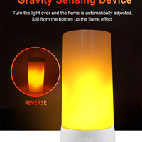 Lampe à flamme USB 2W avec télécommande Ampoule à flamme rechargeable en matériau PC Ampoules à flamme E27