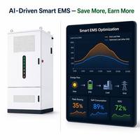 Gabinete de Almacenamiento de Energía Exterior Todo en Uno de 261 kWh y 125 kW con Batería LiFePO4 de 314 Ah para Microredes y Energía Comercial