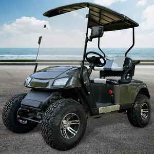 2024 yeni sıcak satış ucuz 2 koltuk gazlı golf /buggy Golf arabaları elektrikli