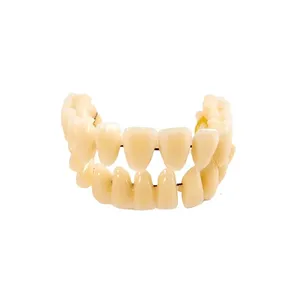 Juego de 28 Dientes de Resina Universales, Modelo de Dientes Postizos Duraderos, Material Dental para Enseñanza - Product Image 4