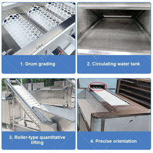 Mesin Produksi Jus Buah Proses Perasan Dingin Otomatis Penuh HNOC - Product Image 4