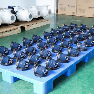 ปั๊มแม่เหล็กขับเคลื่อนแบบกันการกัดกร่อนสำหรับอุตสาหกรรม รุ่น Transcend TDM Sealless Horizontal Compact Eternal Magnet Motor - Product Image 5
