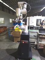 Paletizador de robot colaborativo de 6 ejes de alta precisión 20kg 30kg Capacidad de código abierto 3D Pick Place Robotic COBRA Arm Motor PLC