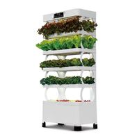 Système de culture hydroponique pour jardin intérieur, jardinières intelligentes pour légumes avec éclairage