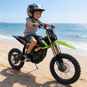 Vente en gros de motos tout-terrain Surron légères 58V 22Ah 8KW 185N.m 40.4mph 34.8Miles pour jeunes - Product Image 1