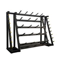 Équipement de fitness très vendu, entraînement musculaire, rack de rangement pour plaques de poids de salle de sport, poids Lesmill, 20 ensembles de rack pour plaques de barre