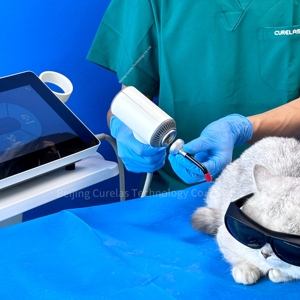 Équipement de thérapie laser de classe 4 pour soulager la douleur chez le chien, le cheval et le chat, utilisation médicale, 810 nm 980 nm pour les blessures aiguës - Product Image 5