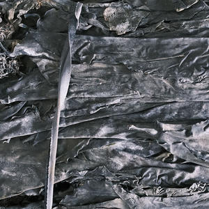 Üretici Toptan Fabrika Doğrudan Satış Kalın Etli Bütün Kelp Başlığı AD Laver Doğranmış 500g Toplu Halde Su İçinde Saklanmış - Product Image 1