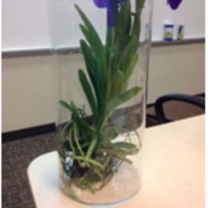 Cylindre en acrylique transparent, tuyau en plastique et tube en acrylique transparent - Product Image 6