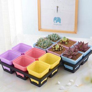 Pot de plantes en plastique à 6/12/20/24/40 cellules, plateau pour graines, taille multiple, vente en gros - Product Image 5