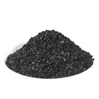 Charbon actif granulaire de coque de noix de coco 8-30 mesh pour le traitement de l'eau potable et l'élimination des contaminants
