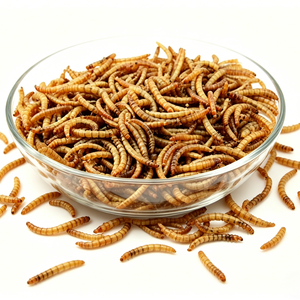 Vers <span class=keywords><strong>de</strong></span> farine séchés 100 % naturels riches en protéines en vrac, friandise pour oiseaux et tortues avec vitamines et minéraux - Product Image 2