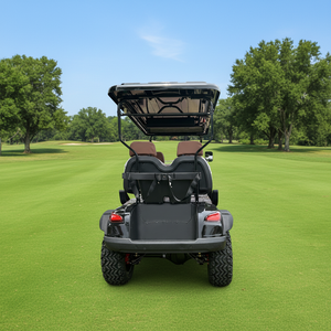 Carrito de Golf de Alta Velocidad para Campos de Golf y Recorridos Largos - Product Image 6